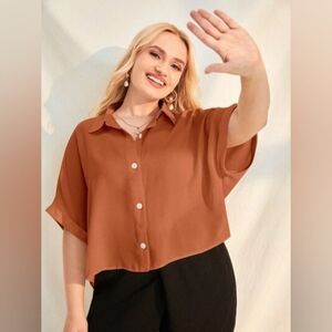 SHEIN Rust Crop Top